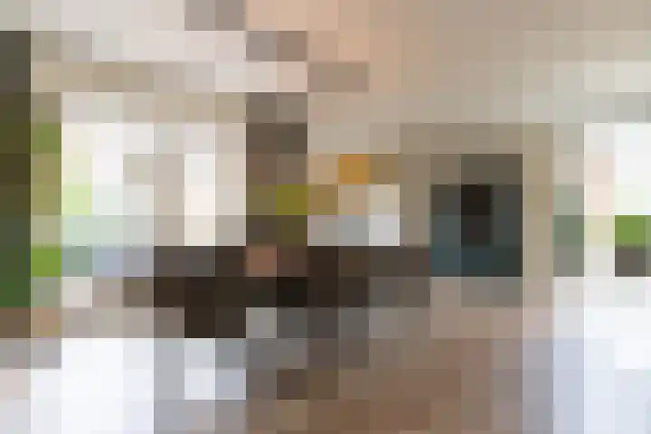 Molenberg 16 Vessem thumbnail 13