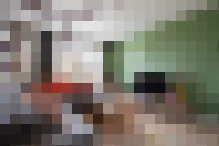 Molenberg 16 Vessem thumbnail 16