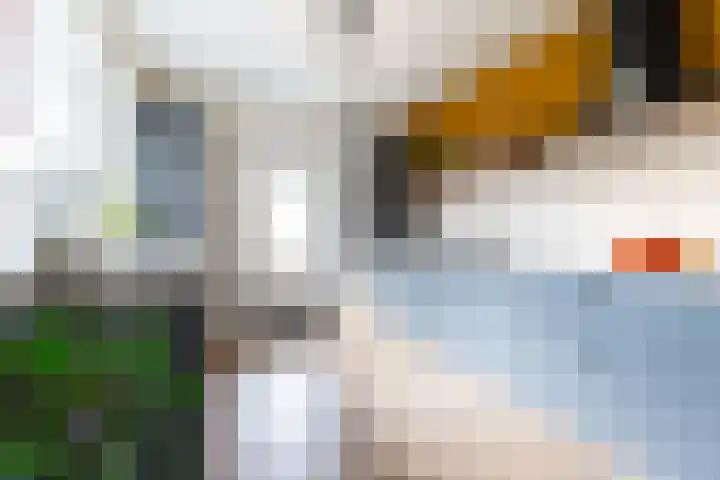 Molenberg 16 Vessem thumbnail 21