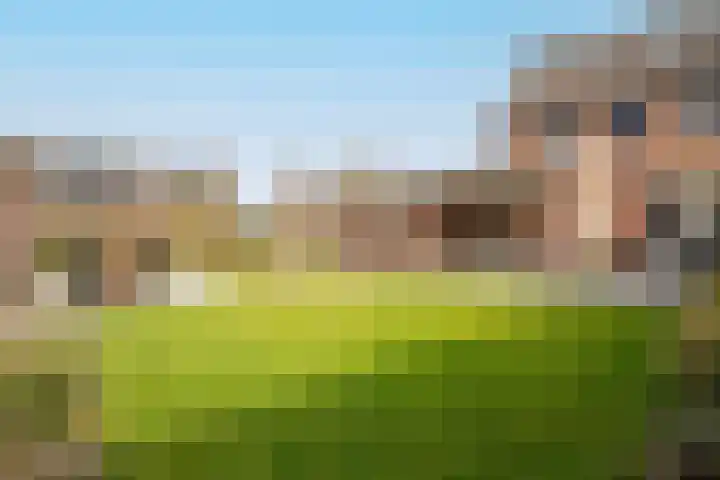 Molenberg 16 Vessem thumbnail 30