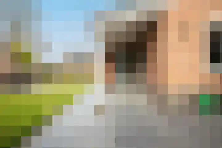 Molenberg 16 Vessem thumbnail 33