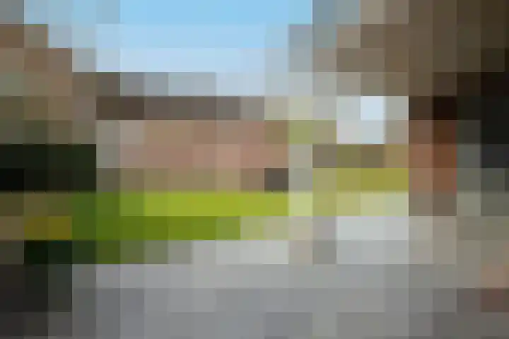Molenberg 16 Vessem thumbnail 34