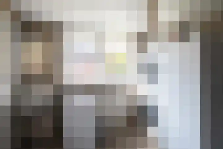 Molenberg 16 Vessem thumbnail 42