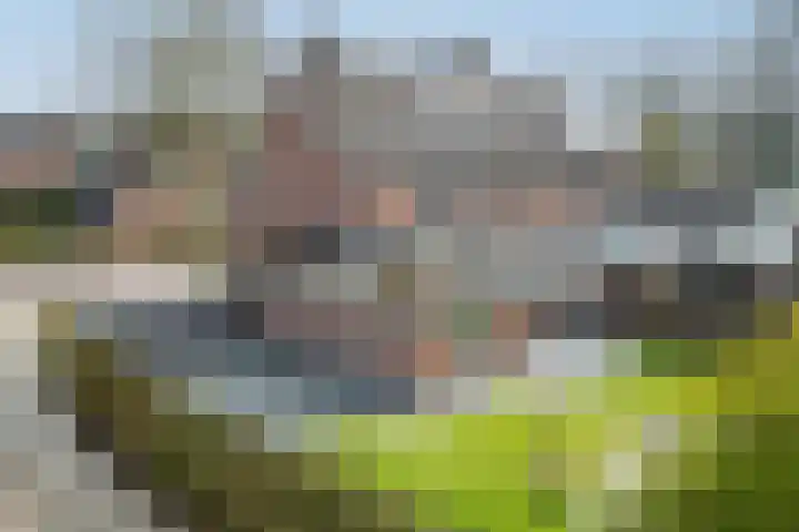 Molenberg 16 Vessem thumbnail 5