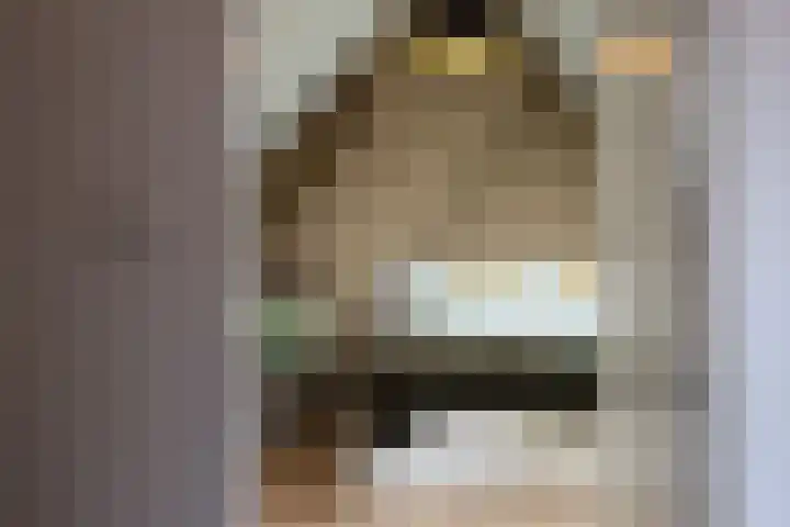 Molenberg 16 Vessem thumbnail 60