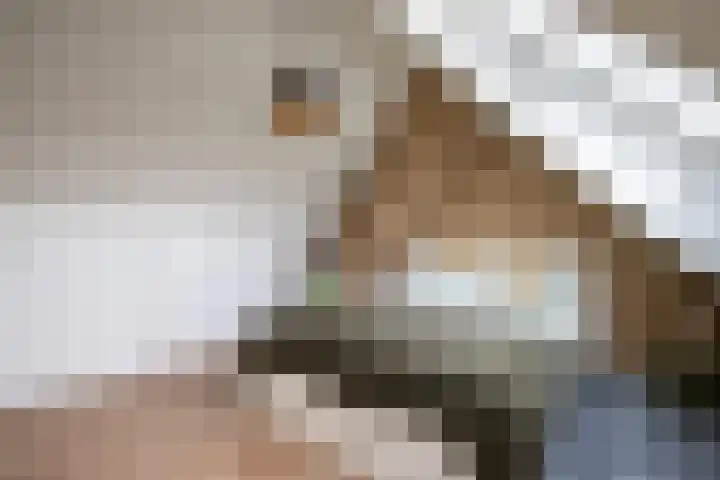 Molenberg 16 Vessem thumbnail 64