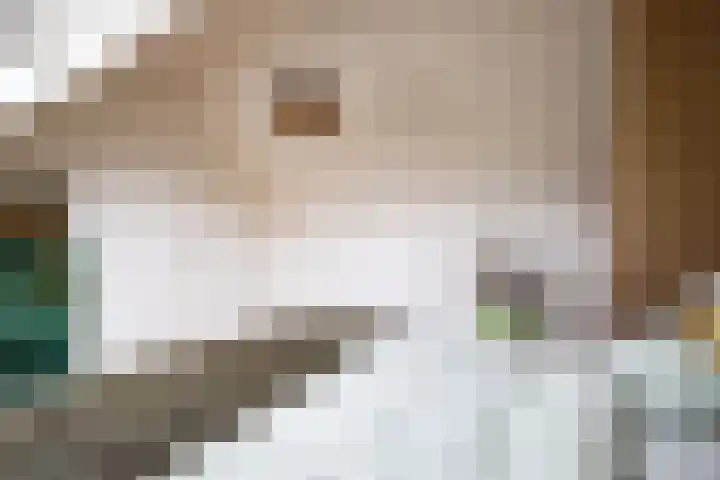 Molenberg 16 Vessem thumbnail 65