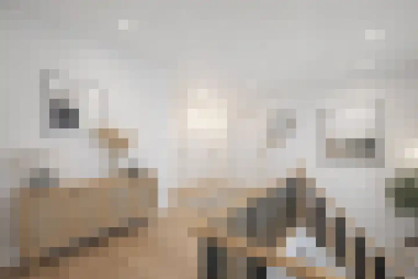 Molenberg 2 Sluis thumbnail 27