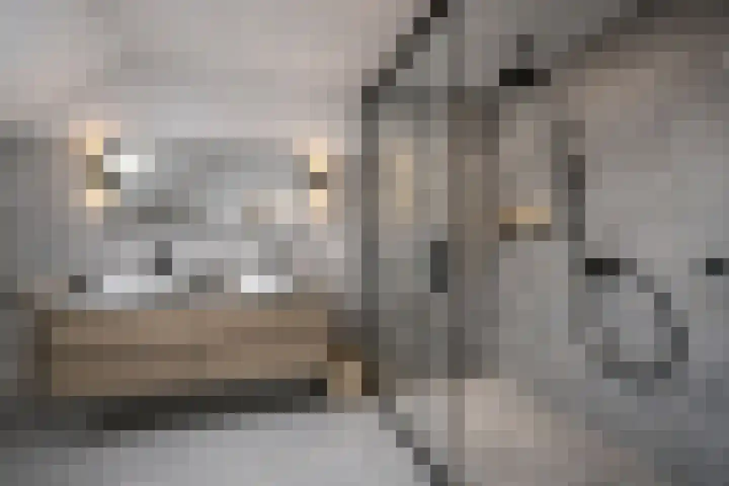 Molenberg 2 Sluis thumbnail 33