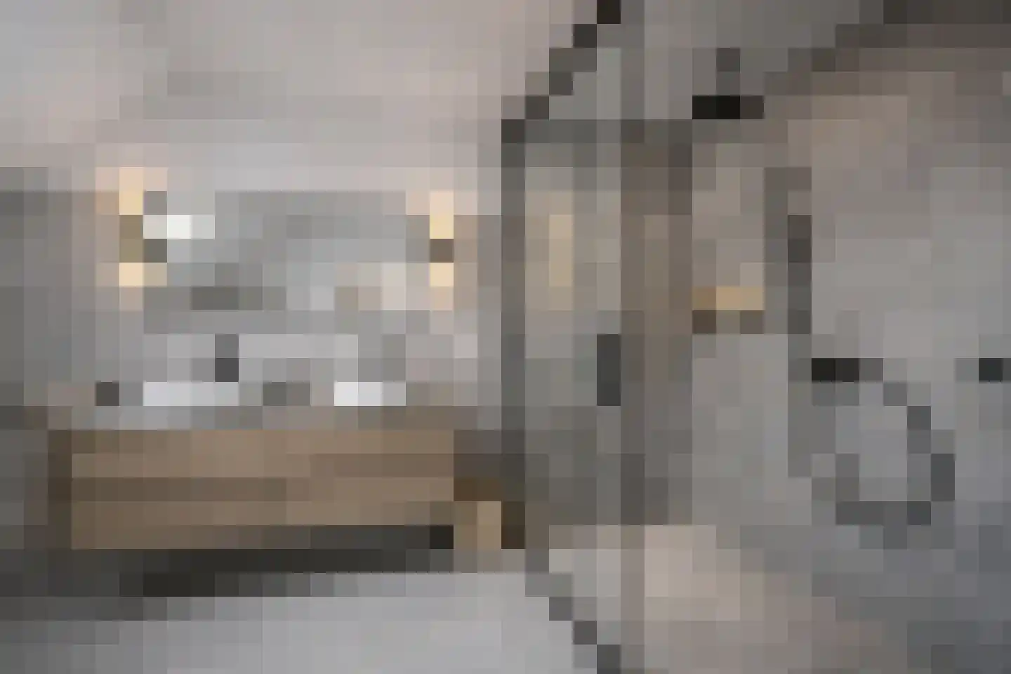 Molenberg 2 Sluis thumbnail 33