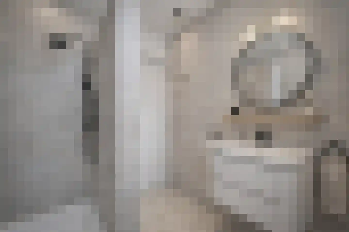Molenberg 2 Sluis thumbnail 40