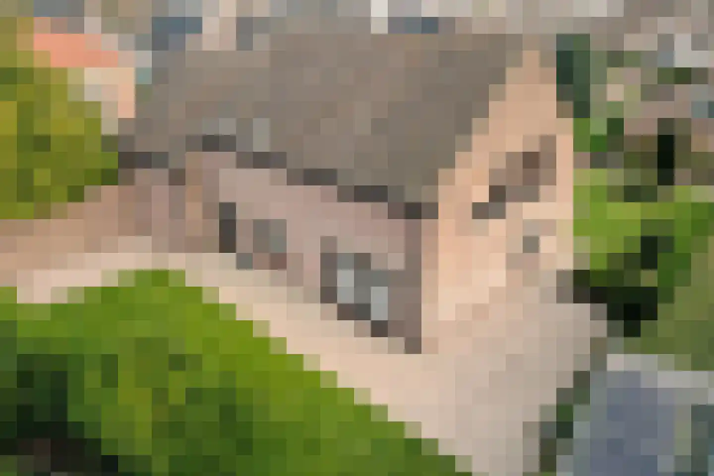 Molenberg 2 Sluis thumbnail 47