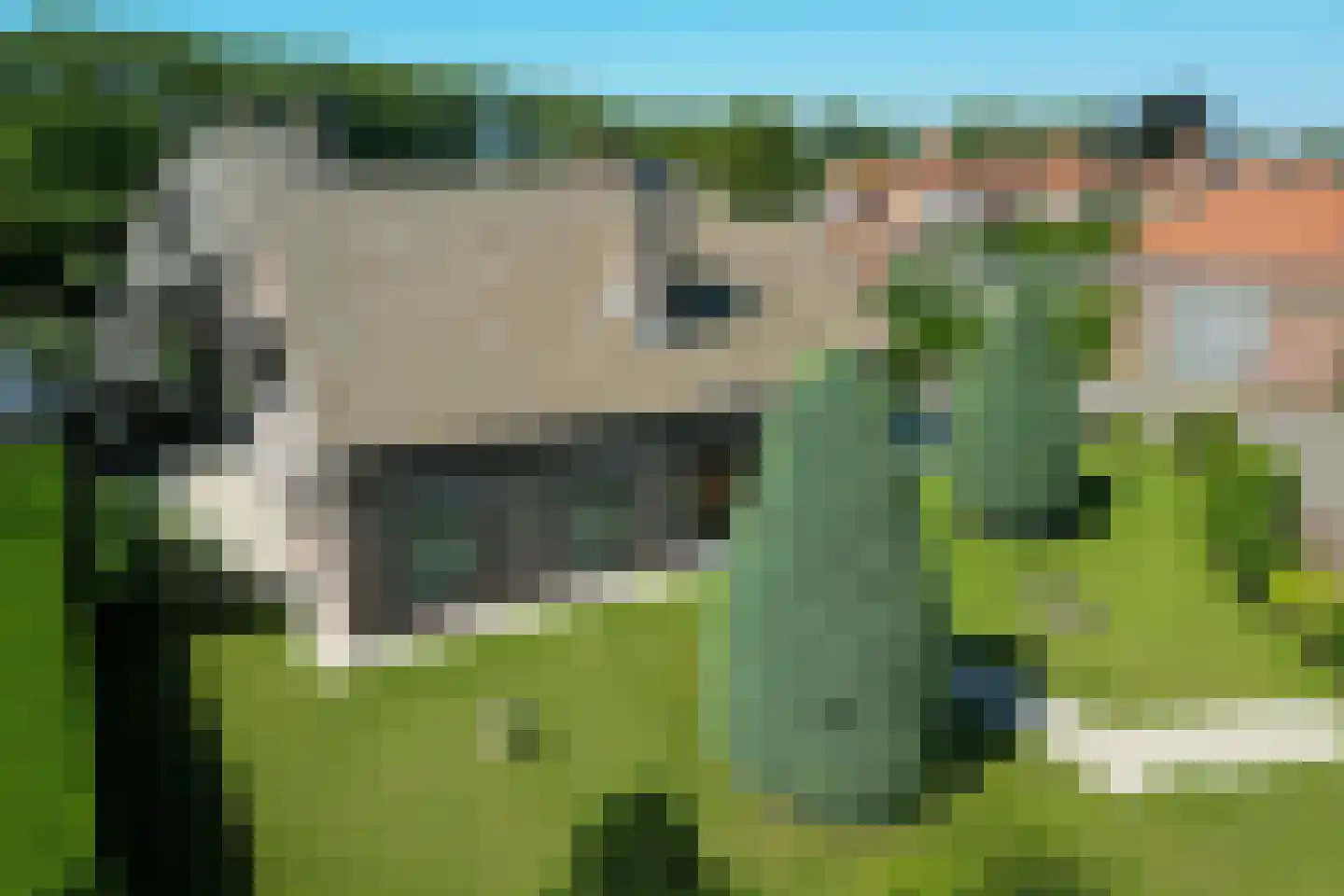 Molenberg 2 Sluis thumbnail 48