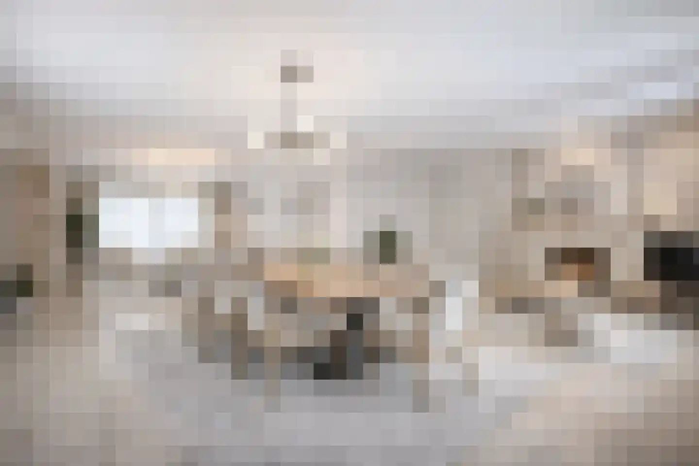 Molenberg 2 Sluis thumbnail 9