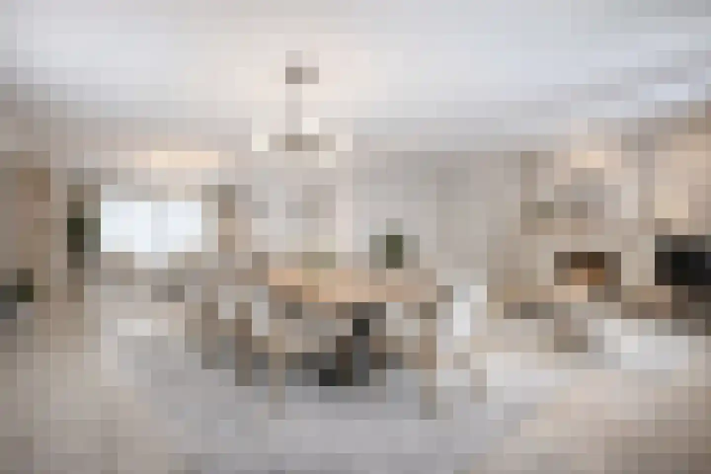 Molenberg 2 Sluis thumbnail 9