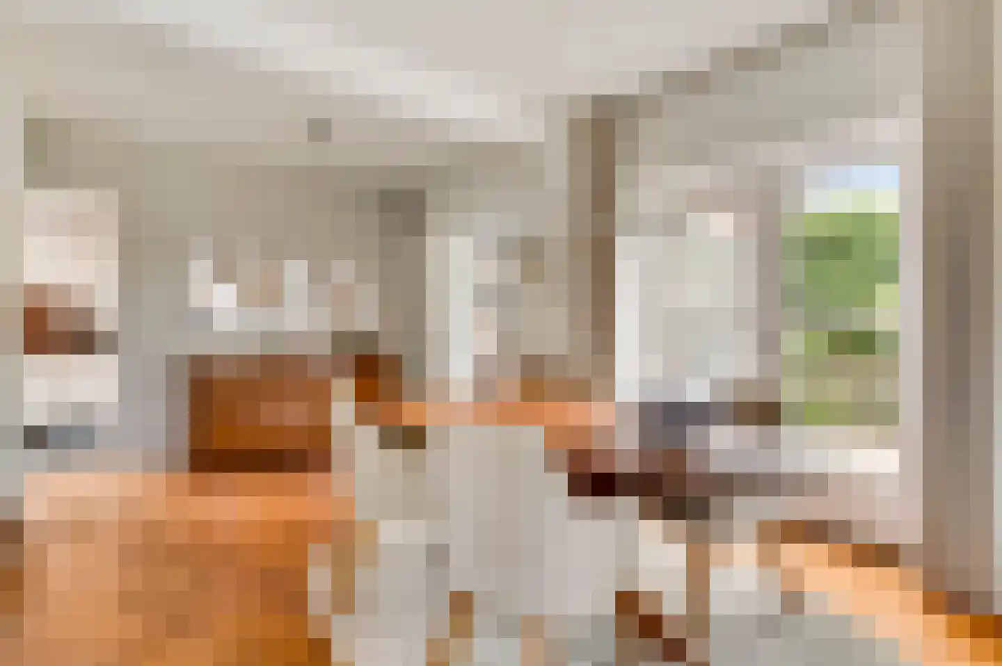 Molenberg 20 Beek thumbnail 14