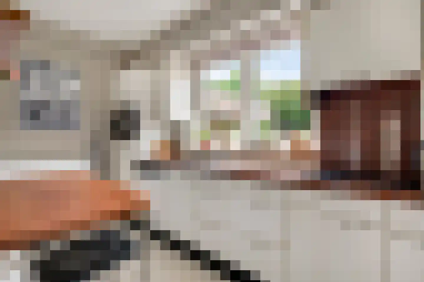 Molenberg 20 Beek thumbnail 15