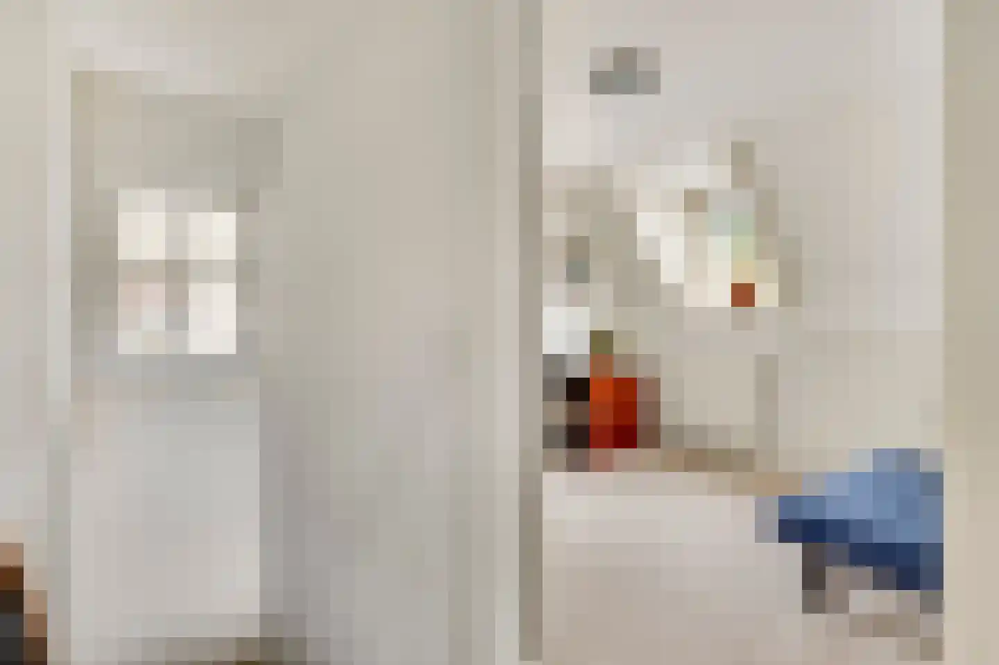 Molenberg 20 Beek thumbnail 31