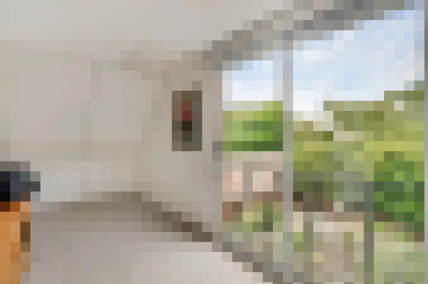 Molenberg 20 Beek thumbnail 33