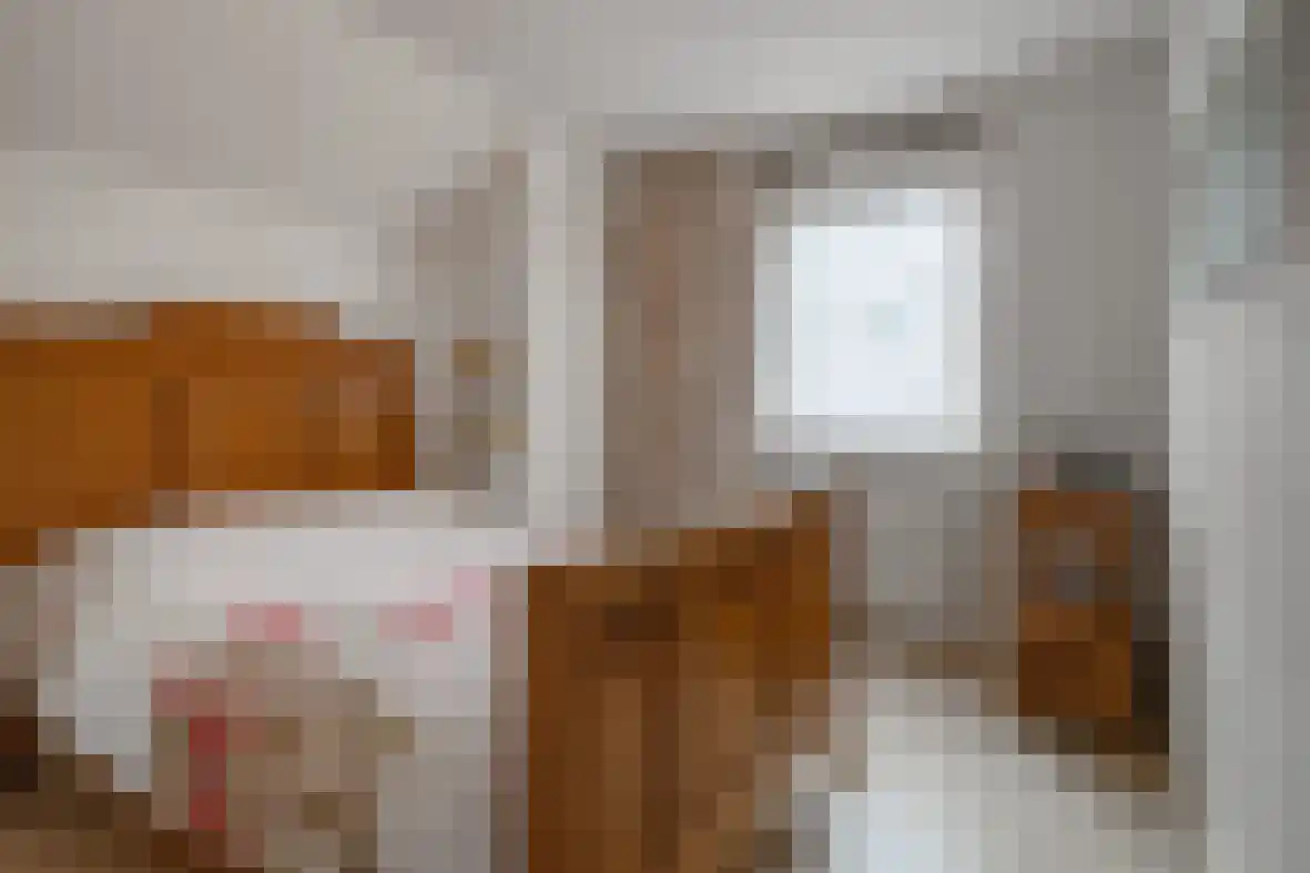 Molenberg 22 Beek thumbnail 19