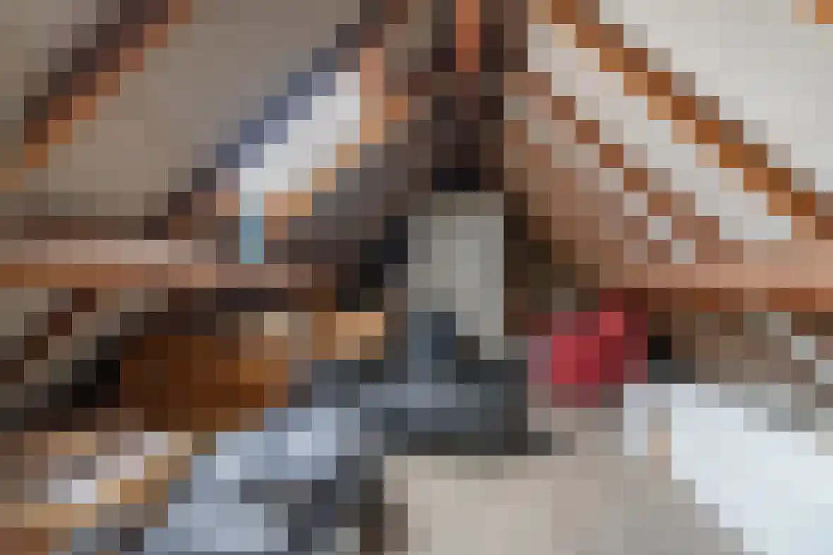 Molenberg 22 Beek thumbnail 27