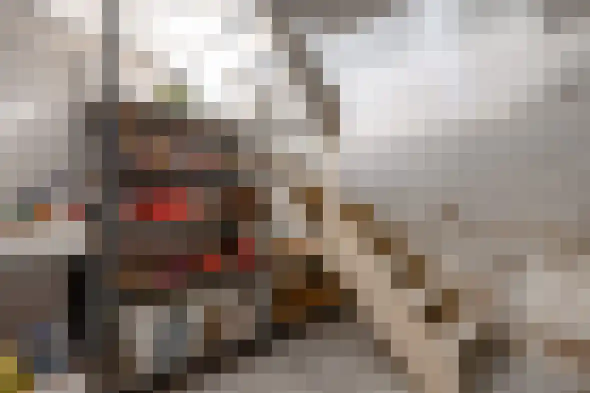 Molenberg 22 Beek thumbnail 29