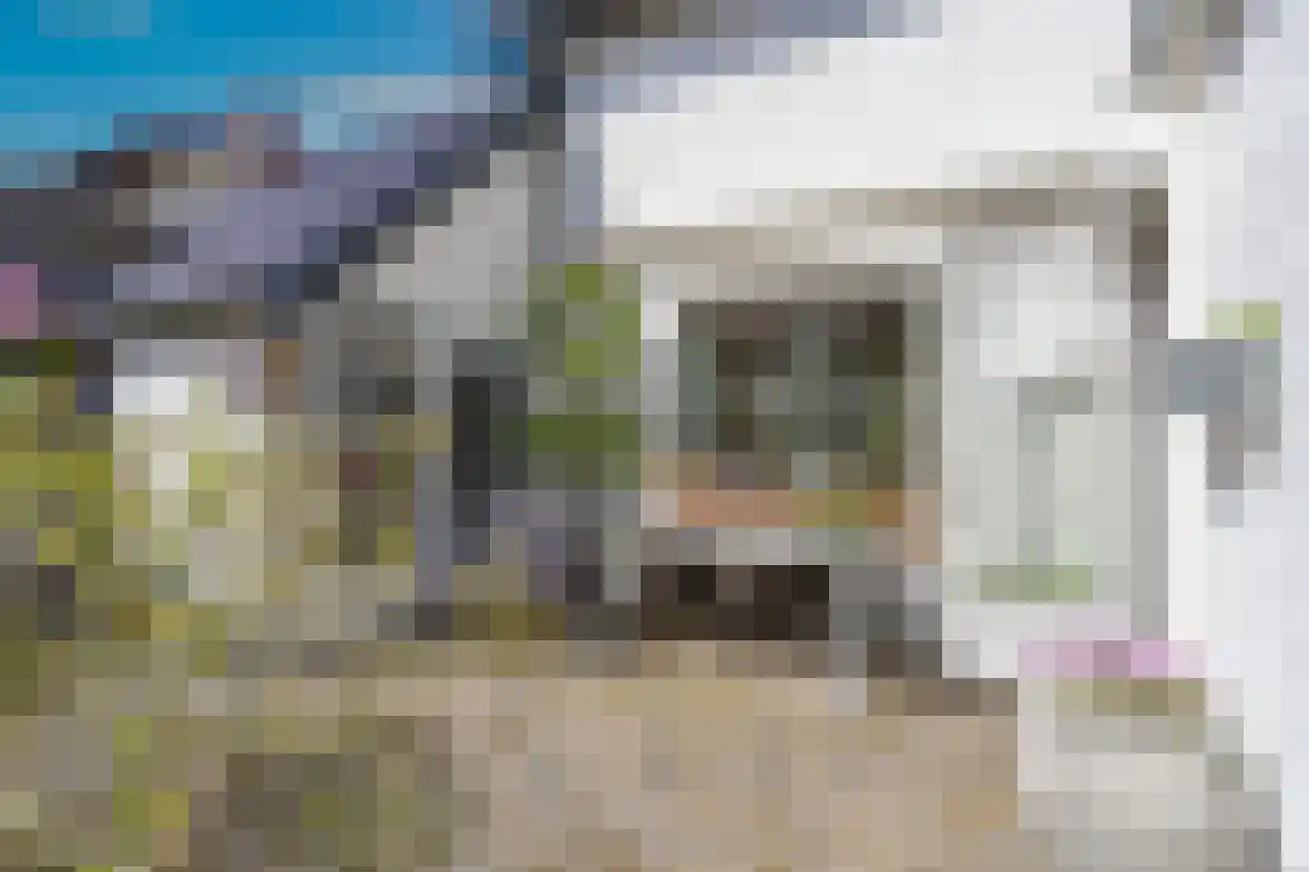 Molenberg 22 Beek thumbnail 32