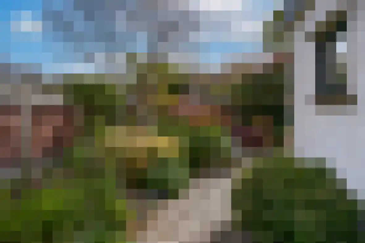 Molenberg 22 Beek thumbnail 36