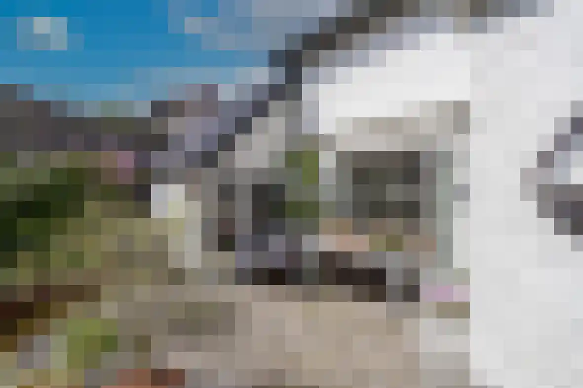 Molenberg 22 Beek thumbnail 4