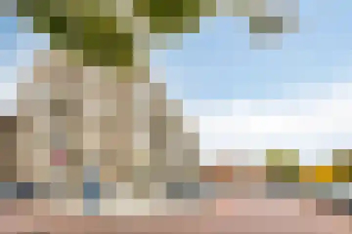 Molenberg 22 's-Hertogenbosch thumbnail 16