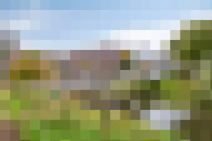 Molenberg 22 's-Hertogenbosch thumbnail 18