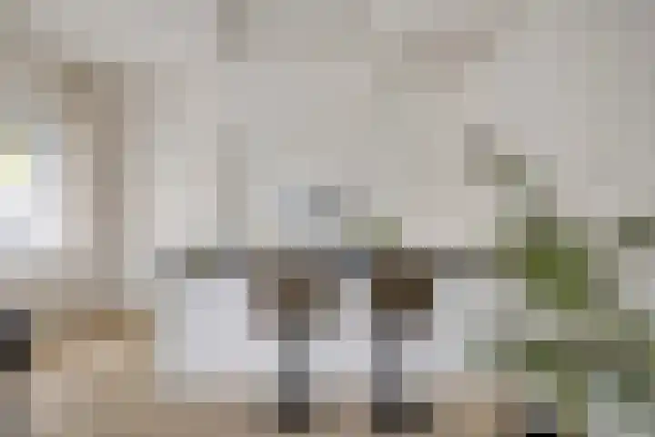 Molenberg 22 's-Hertogenbosch thumbnail 4
