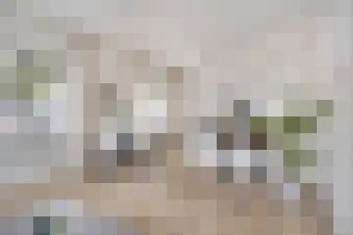 Molenberg 22 's-Hertogenbosch thumbnail 8