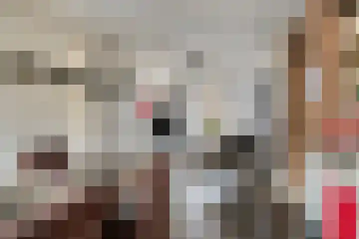Molenberg 24 Reusel thumbnail 11