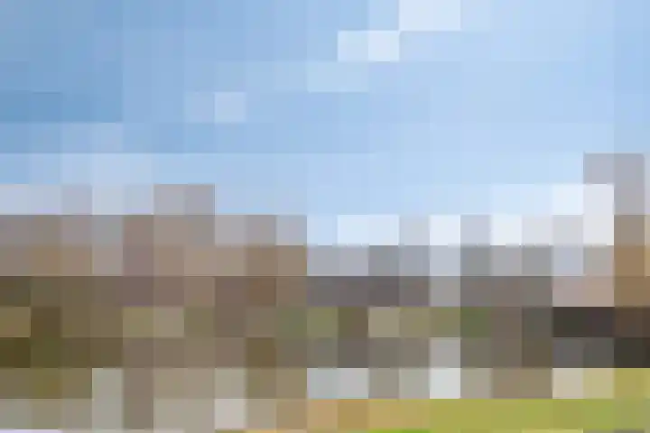 Molenberg 24 Reusel thumbnail 39