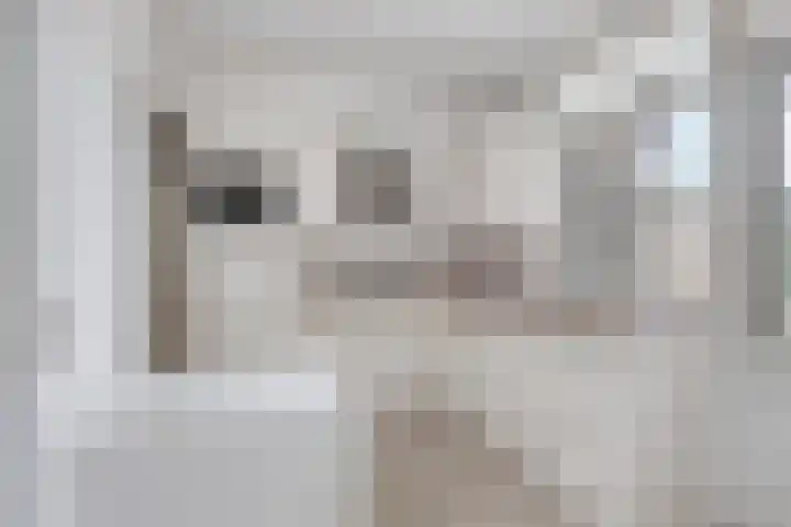 Molenberg 3 's-Hertogenbosch thumbnail 15
