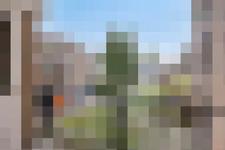 Molenberg 3 's-Hertogenbosch thumbnail 17