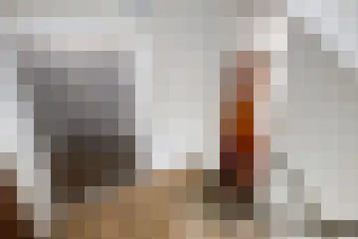 Molenberg 3 's-Hertogenbosch thumbnail 24