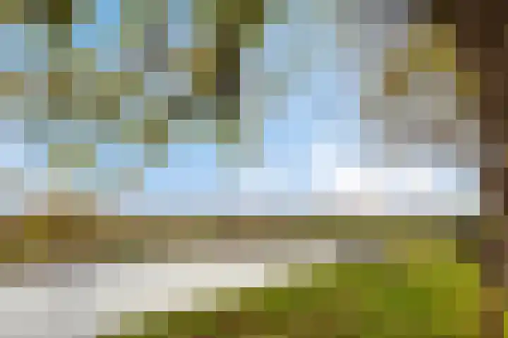 Molenberg 3 's-Hertogenbosch thumbnail 29
