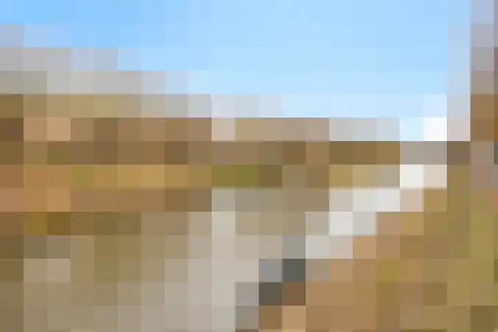Molenberg 3 's-Hertogenbosch thumbnail 30