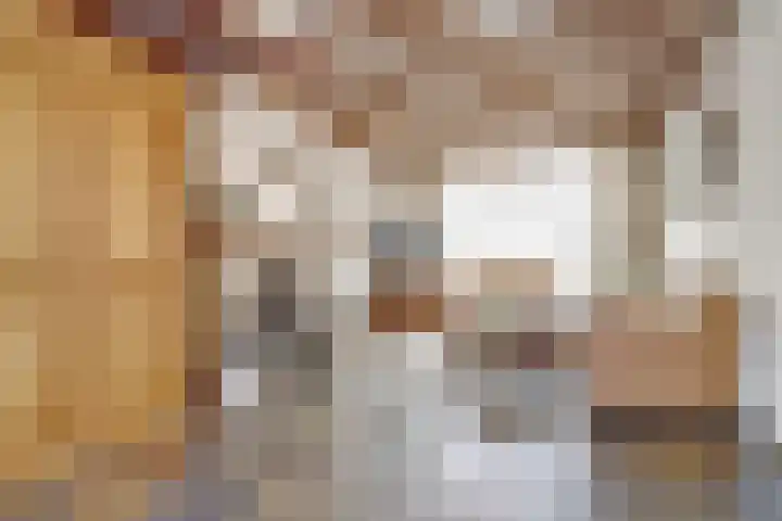 Molenberg 37 Reusel thumbnail 17