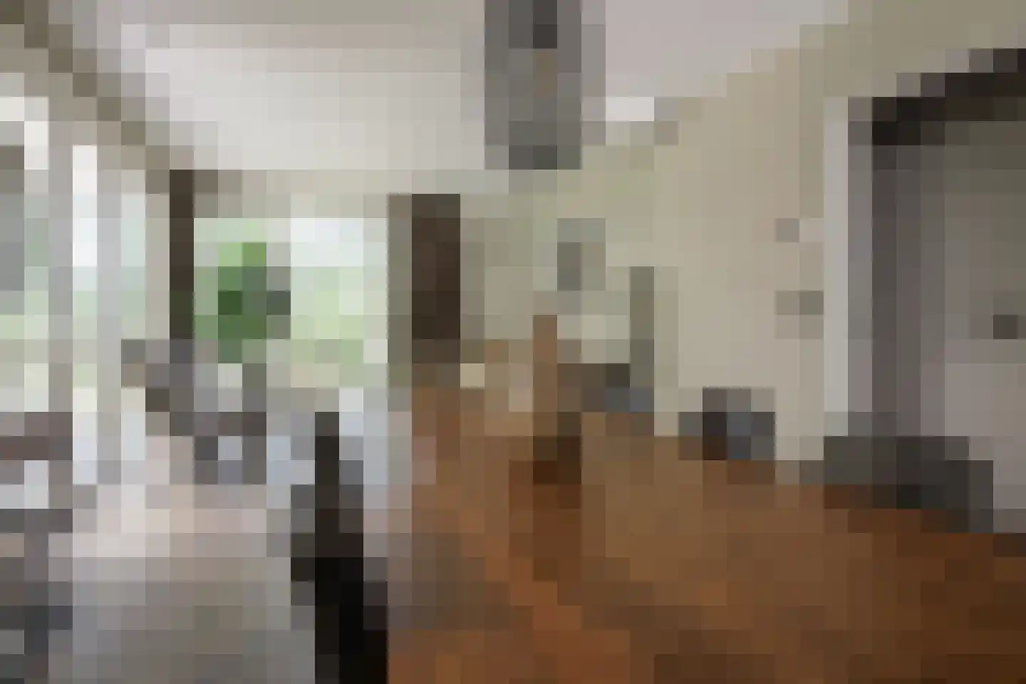 Molenberg 37 Reusel thumbnail 19