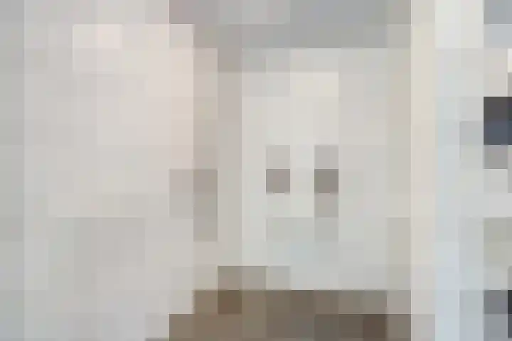Molenberg 37 Reusel thumbnail 21