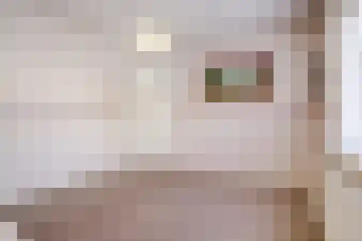 Molenberg 37 Reusel thumbnail 27