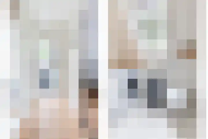 Molenberg 37 Reusel thumbnail 32
