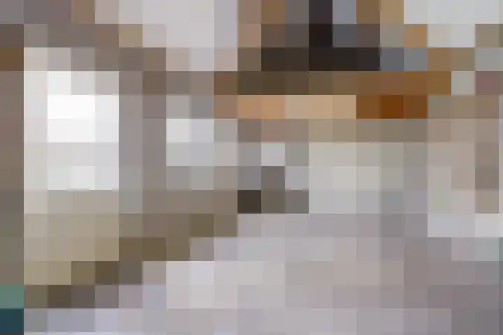Molenberg 37 Reusel thumbnail 36