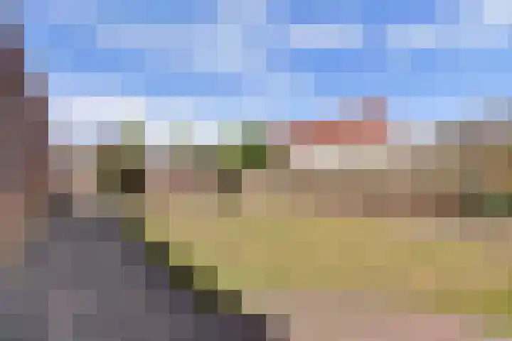 Molenberg 37 Reusel thumbnail 38