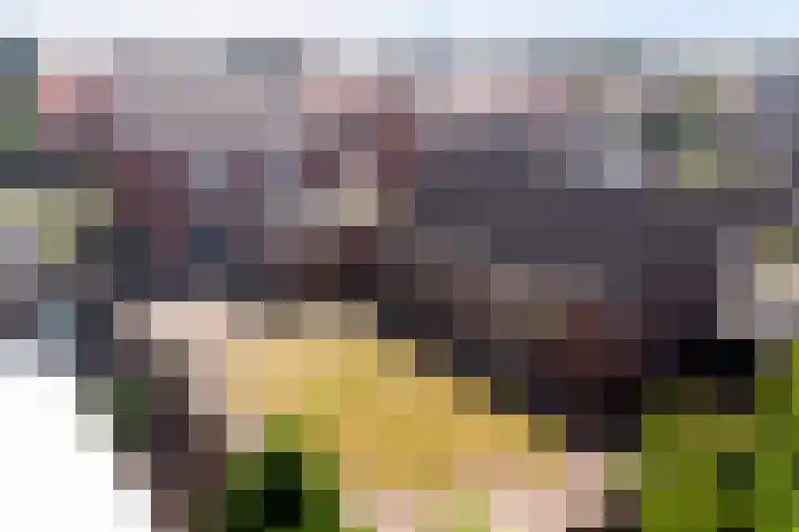 Molenberg 37 Reusel thumbnail 42