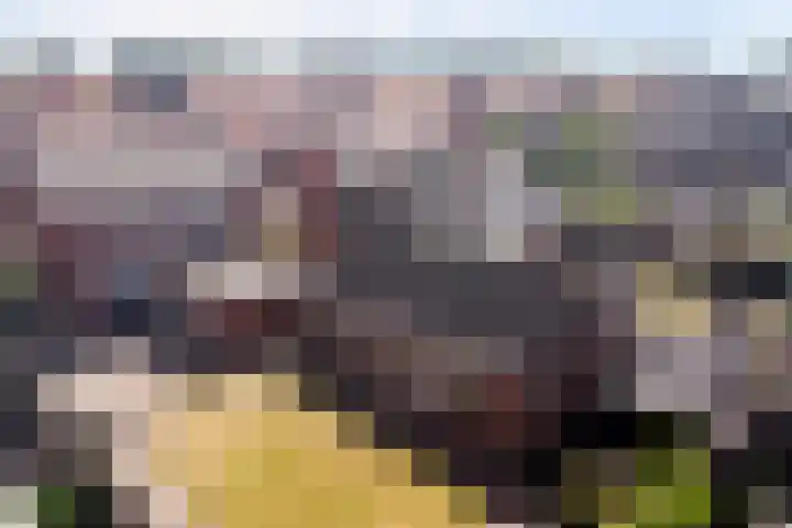 Molenberg 37 Reusel thumbnail 43