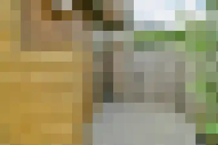 Molenberg 37 Reusel thumbnail 45